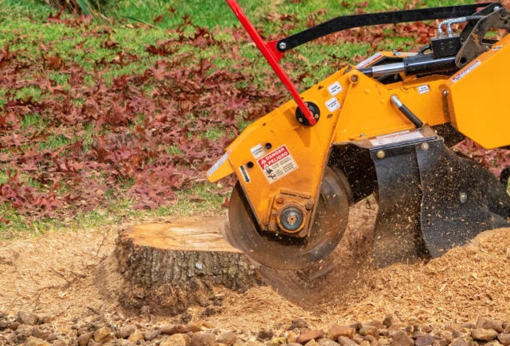 Stump grinding cleanup, leaving the yard ready for landscaping.