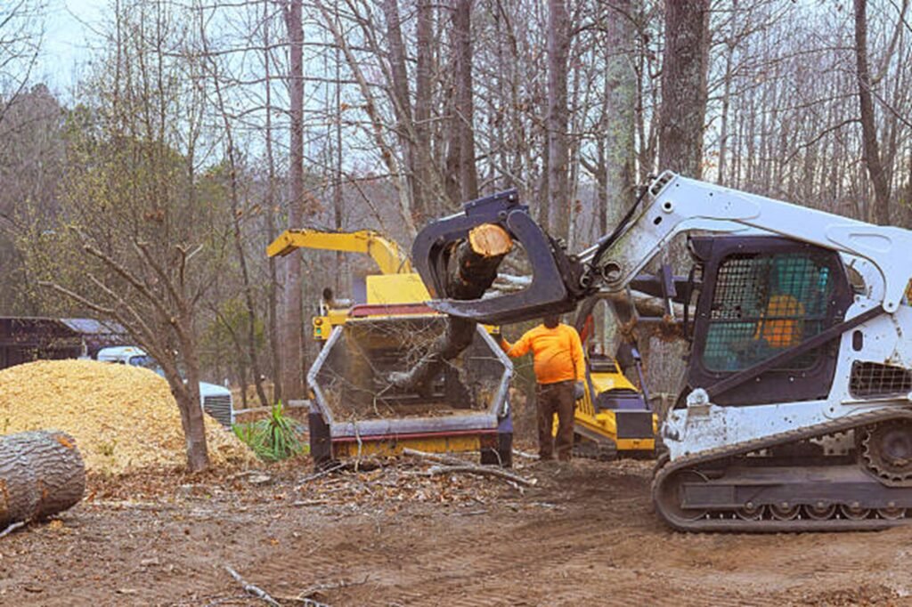 Hazardous tree safely removed from residential property in North Royalton, Ohio