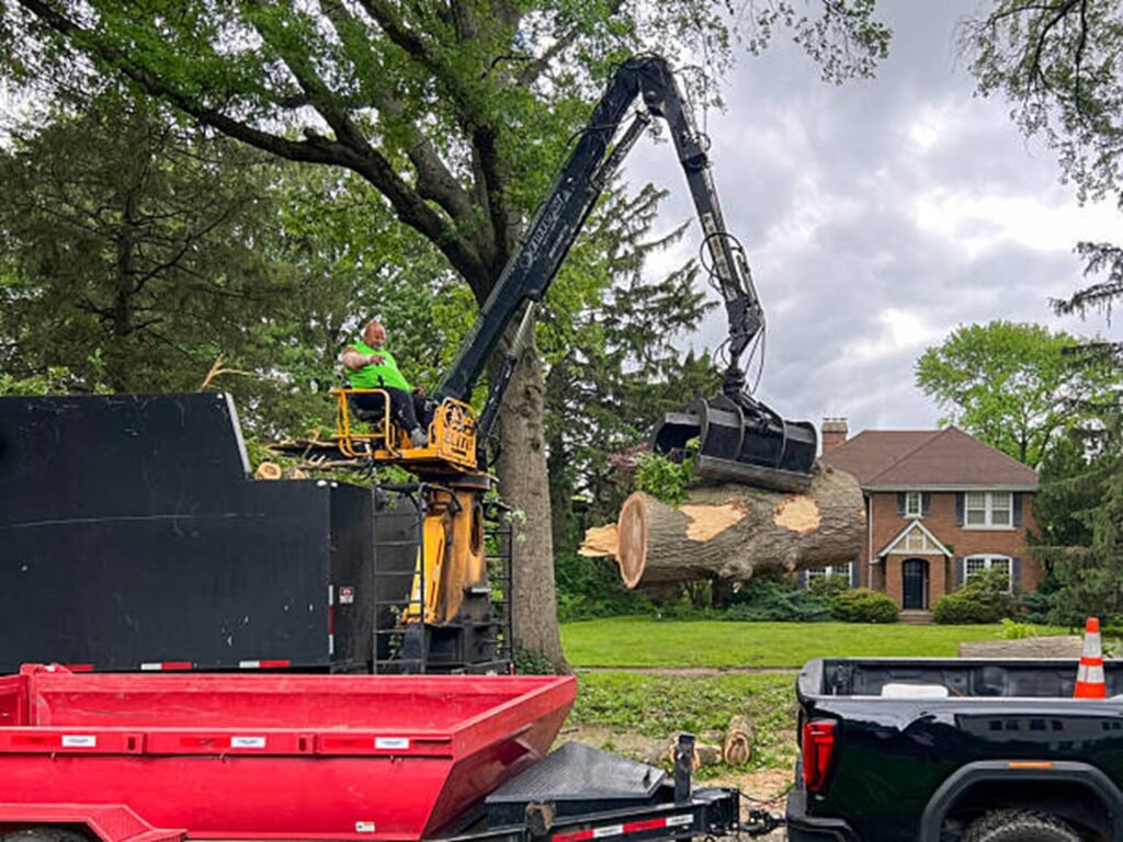 Tree removal crew using controlled sectional cutting techniques near a residential home in North Royalton, Ohio