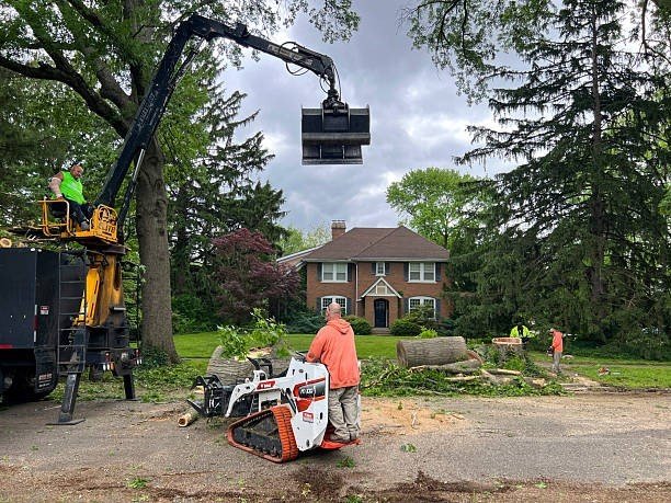 Professional tree trimming service in North Royalton with crew pruning branches near a residential home