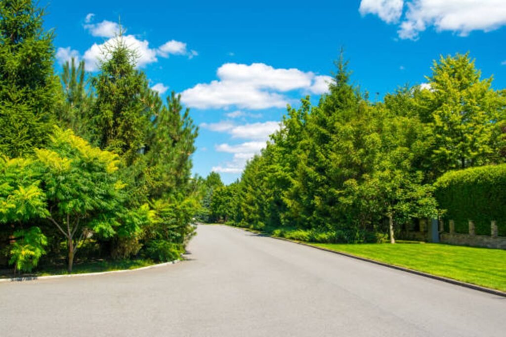 Tree service crew working on residential property in Blue Ridge Tree Experts, Ohio