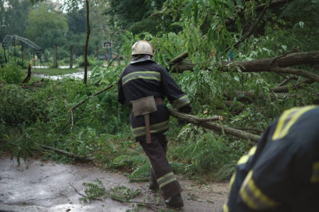 Emergency tree service crew removing storm-damaged tree near a home in North Royalton, Ohio
