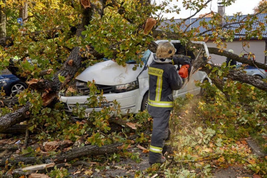 Storm damage cleanup with fallen tree and debris removal at a North Royalton, OH property