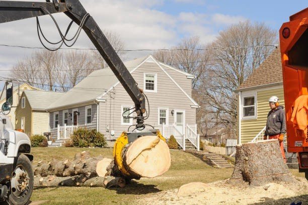 Emergency tree removal crew cutting a storm-damaged tree near a residential home in North Royalton, Ohio