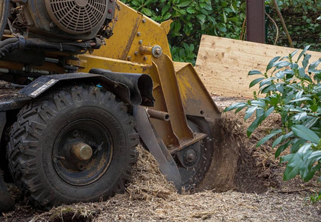Stump grinding equipment removing a large tree stump from a residential yard in North Royalton, Ohio